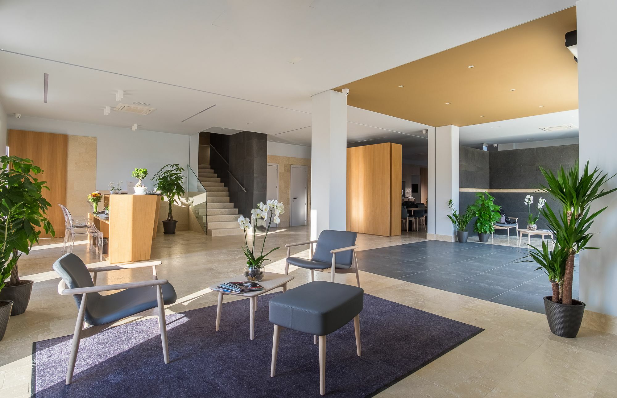 Netum Hotel Ното Экстерьер фото